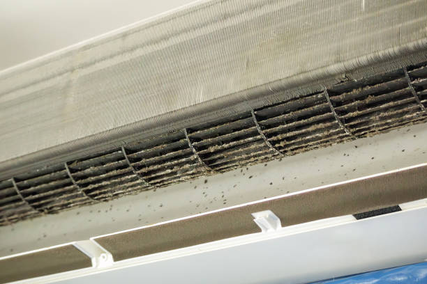 Best Affordable HVAC Duct Cleaning  in Haverhill, MA